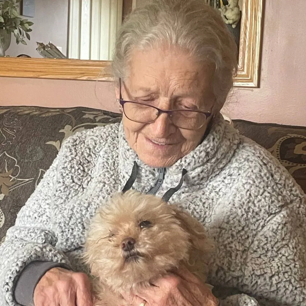 Client receiving help